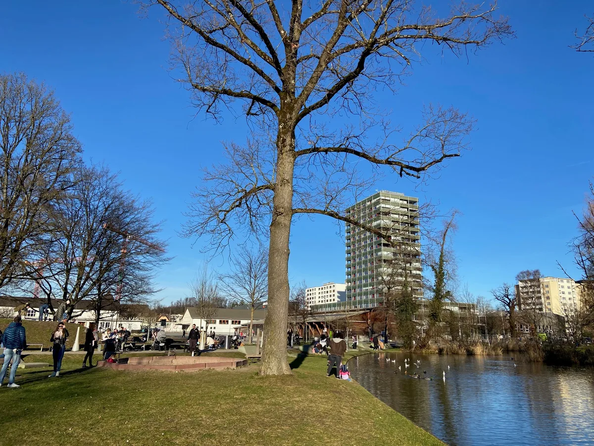 Der Ustermer Stadtpark im Februar.